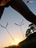 view full image