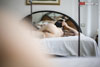 view full image