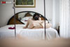 view full image
