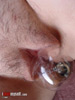 view full image