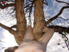 view full image