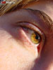 view full image
