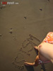 view full image