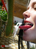 view full image